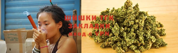 стаф Кодинск