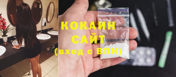 стаф Кодинск