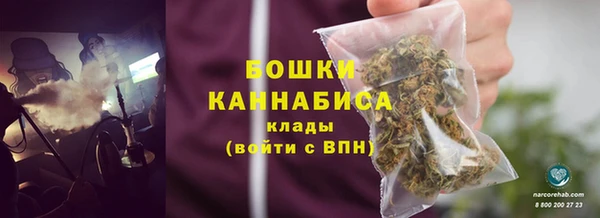 стаф Кодинск
