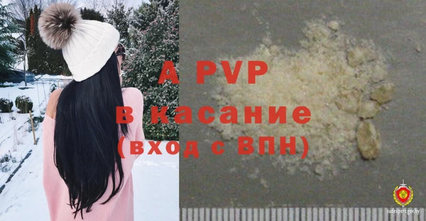 стаф Кодинск