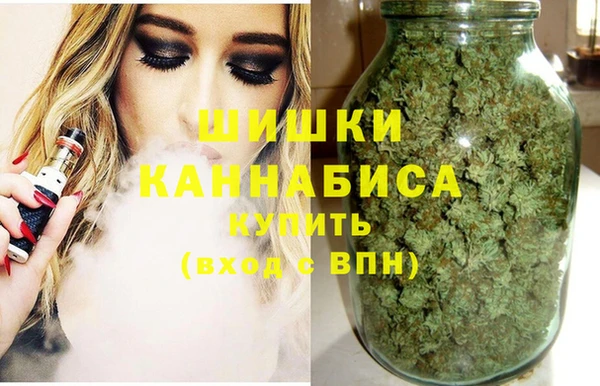 стаф Кодинск