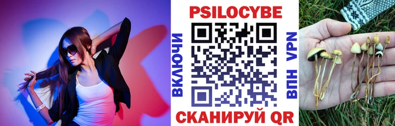 Псилоцибиновые грибы Psilocybine cubensis  блэк спрут ССЫЛКА  Магнитогорск 