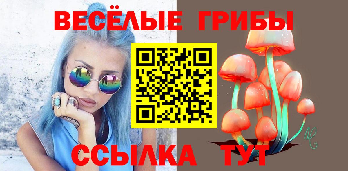 Галлюциногенные грибы MAGIC MUSHROOMS  Вход с VPN  Магнитогорск 